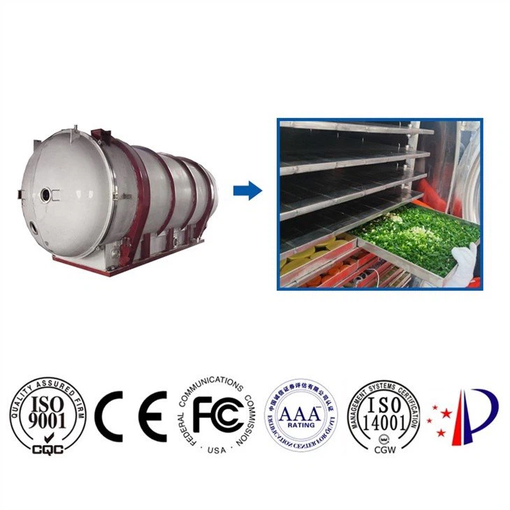 Industrial Freeze Dryer